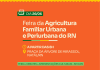Feira da Agricultura Familiar Urbana e Periurbana promove produção sustentável e cultura em Natal